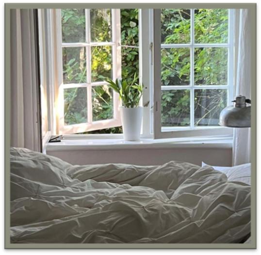 Edelsminde Bed & Breakfast Haslev Exteriör bild